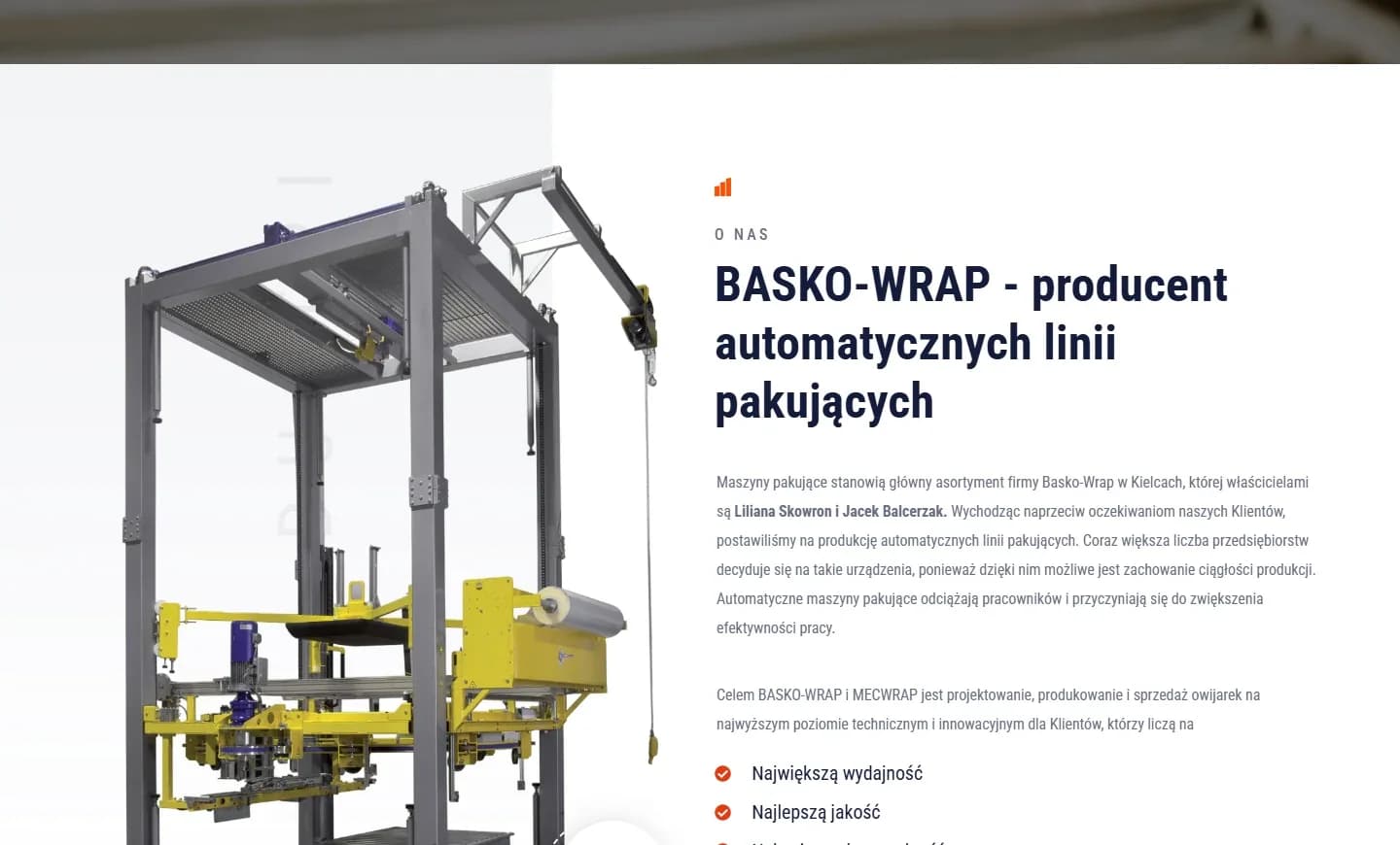 BASKO-WRAP — witryna producenta systemów pakowania — detal serwisu