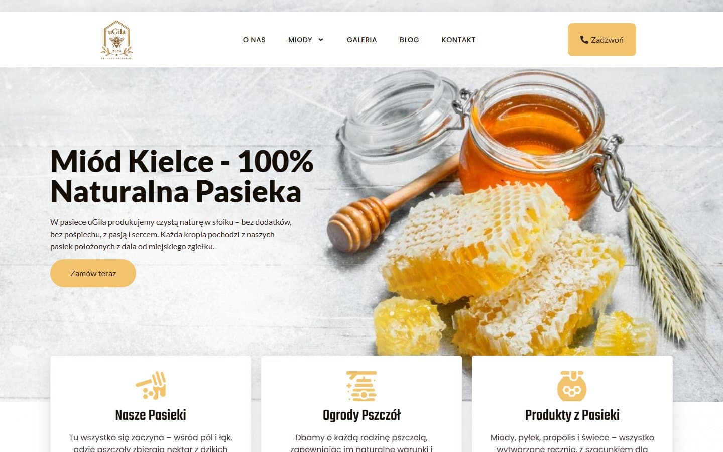 Pasieka uGila — nagłówek strony z fotografią miodu i plastra pszczelego